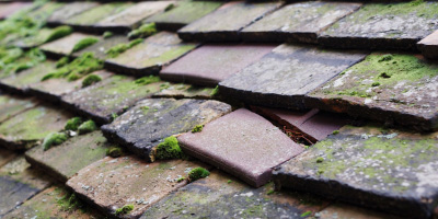 Welford roof repair costs